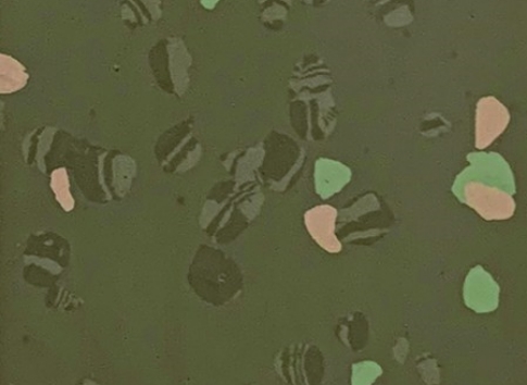 MBW-019