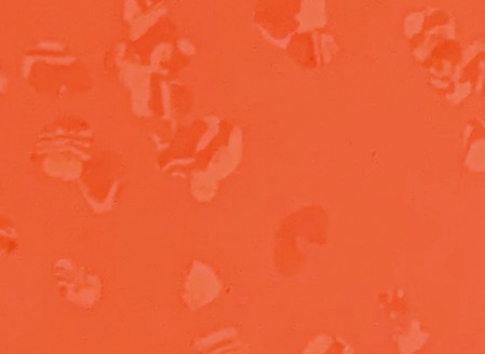 MBW-033