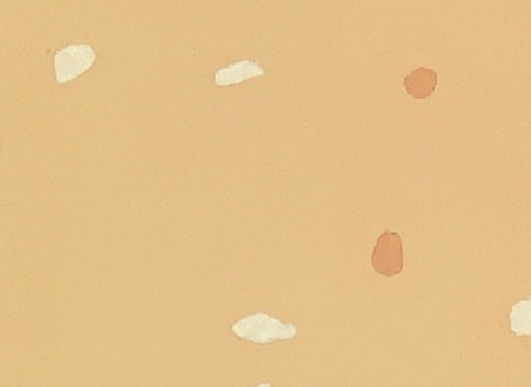 RF-006